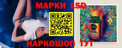 стаф Новодвинск