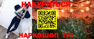 spice Новозыбков