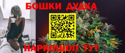 стаф Новодвинск