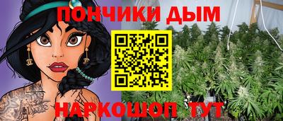 spice Новозыбков